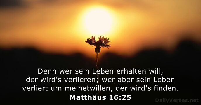 Matthäus 16:25
