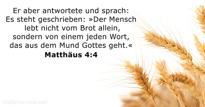 Matthäus 4:4