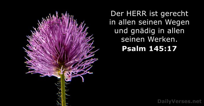 Der HERR ist gerecht in allen seinen Wegen und gnädig in allen seinen Werken. Psalm 145:17