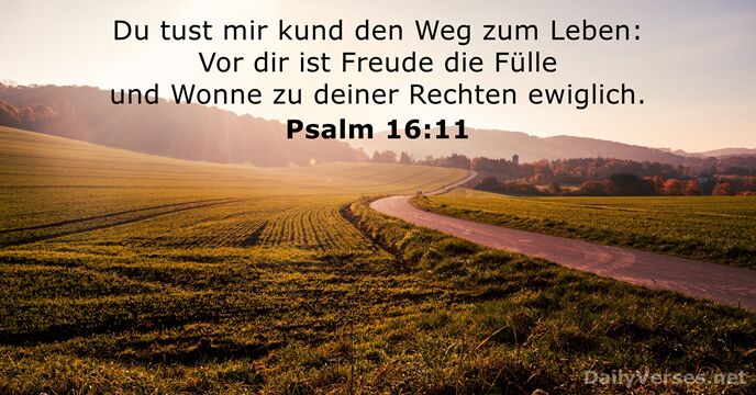 Du tust mir kund den Weg zum Leben: Vor dir ist Freude… Psalm 16:11