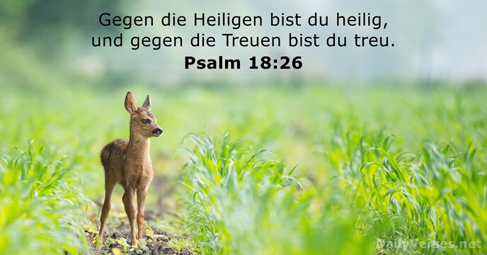 Gegen die Heiligen bist du heilig, und gegen die Treuen bist du treu. Psalm 18:26