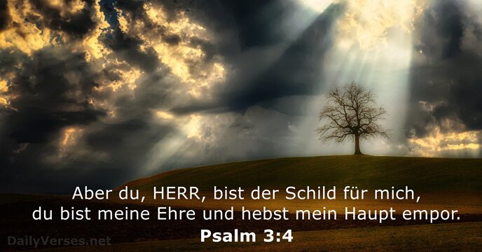 Aber du, HERR, bist der Schild für mich, du bist meine Ehre… Psalm 3:4