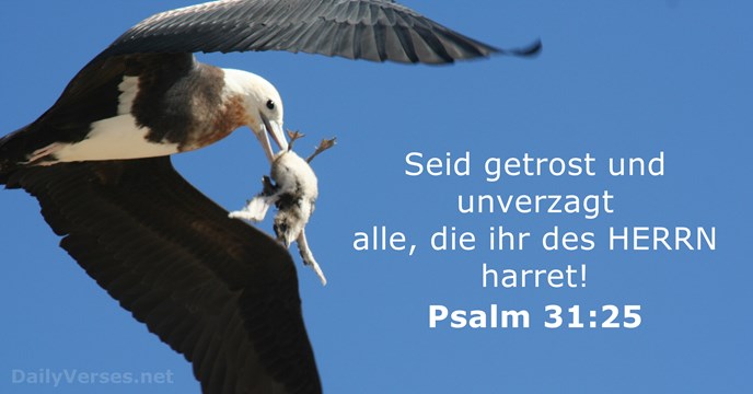 Psalm 31:25
