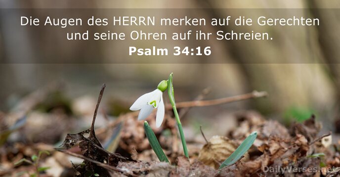 Die Augen des HERRN merken auf die Gerechten und seine Ohren auf ihr Schreien. Psalm 34:16