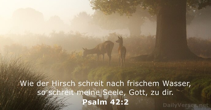 Wie der Hirsch schreit nach frischem Wasser, so schreit meine Seele, Gott, zu dir. Psalm 42:2