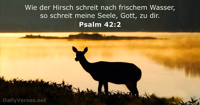 23 Oktober 2020 Bibelvers Des Tages Psalm 42 2 DailyVerses