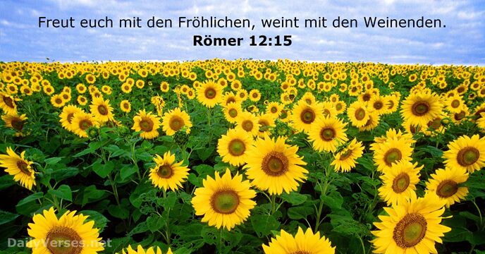 Römer 12:15