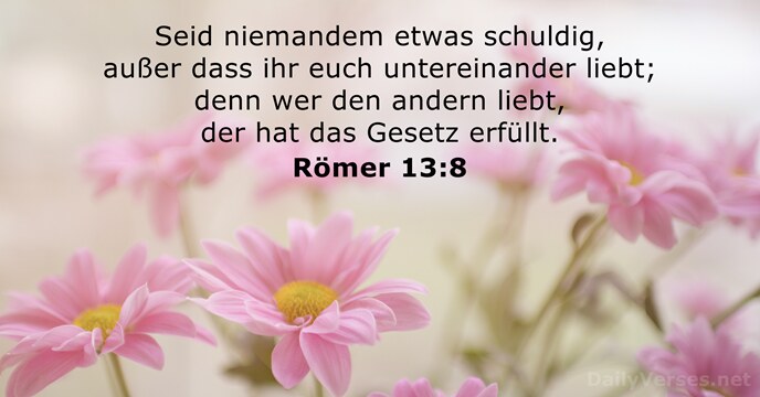 Seid niemandem etwas schuldig, außer dass ihr euch untereinander liebt; denn wer… Römer 13:8