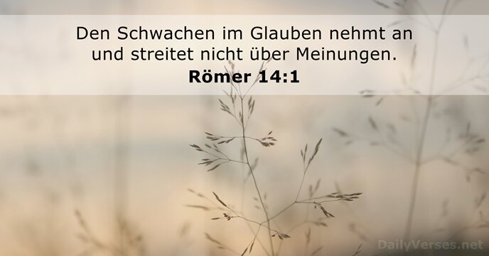 Römer 14:1