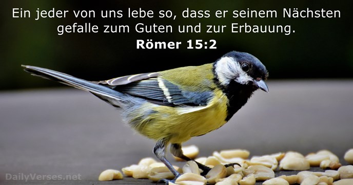 Römer 15:2