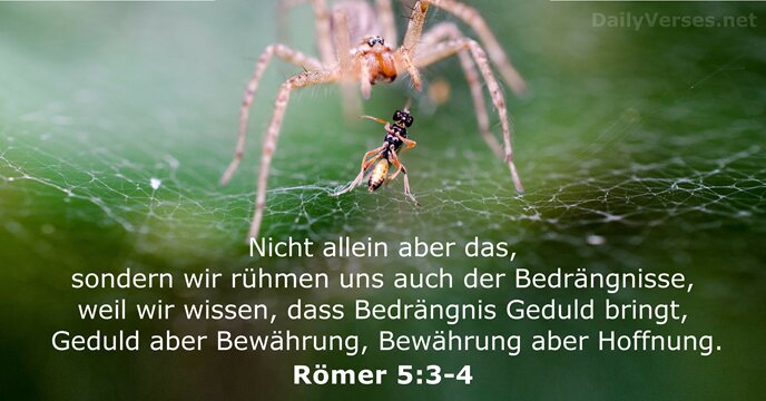 Römer 5:3-4