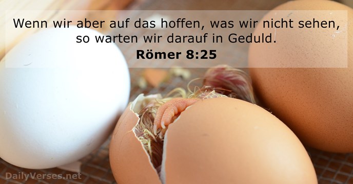 Römer 8:25