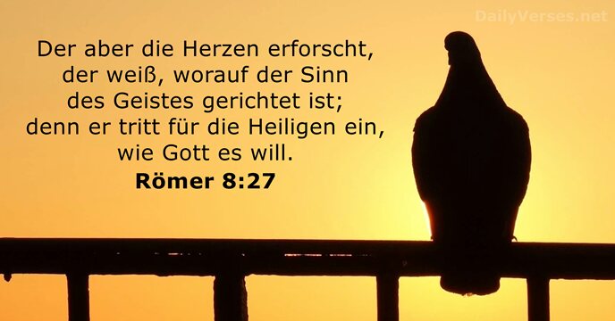 Der aber die Herzen erforscht, der weiß, worauf der Sinn des Geistes… Römer 8:27
