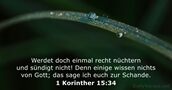 1 Korinther 15:34