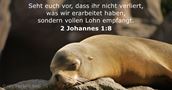 2 Johannes 1:8