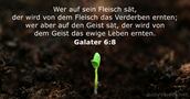 Galater 6:8