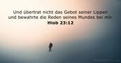 Hiob 23:12
