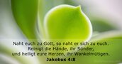 Jakobus 4:8