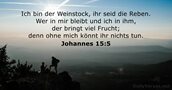 Johannes 15:5