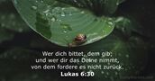 Lukas 6:30