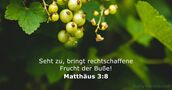 Matthäus 3:8