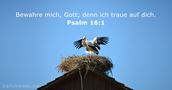Psalm 16:1