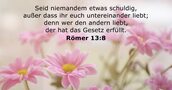 Römer 13:8