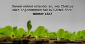 Römer 15:7