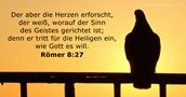 Römer 8:27