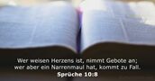 Sprüche 10:8