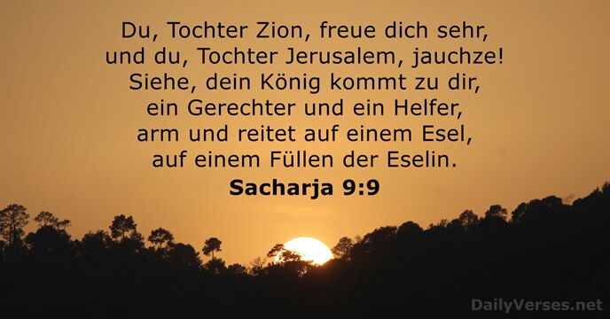 Du, Tochter Zion, freue dich sehr, und du, Tochter Jerusalem, jauchze! Siehe… Sacharja 9:9