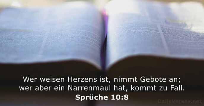 Sprüche 10:8