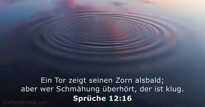 Sprüche 12:16