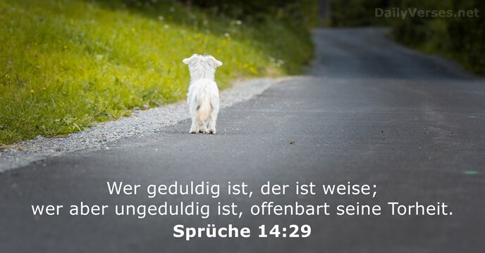 Wer geduldig ist, der ist weise; wer aber ungeduldig ist, offenbart seine Torheit. Sprüche 14:29