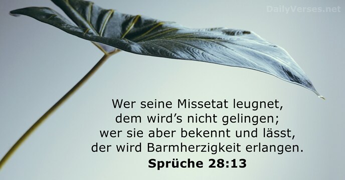 Sprüche 28:13