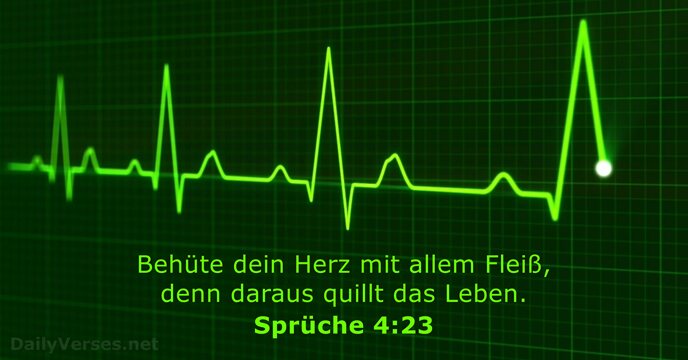 Sprüche 4:23