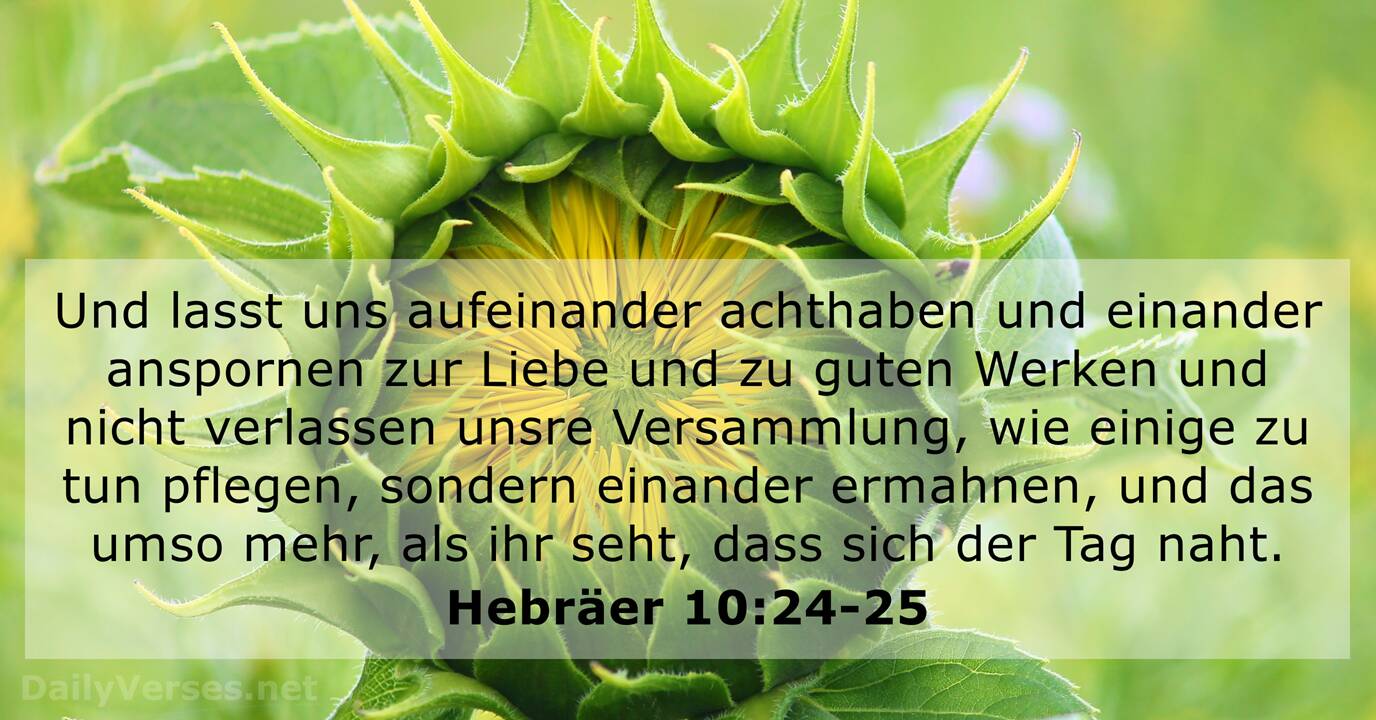 27 Bibelverse über die Kirche - LU12 & LUT - DailyVerses.net