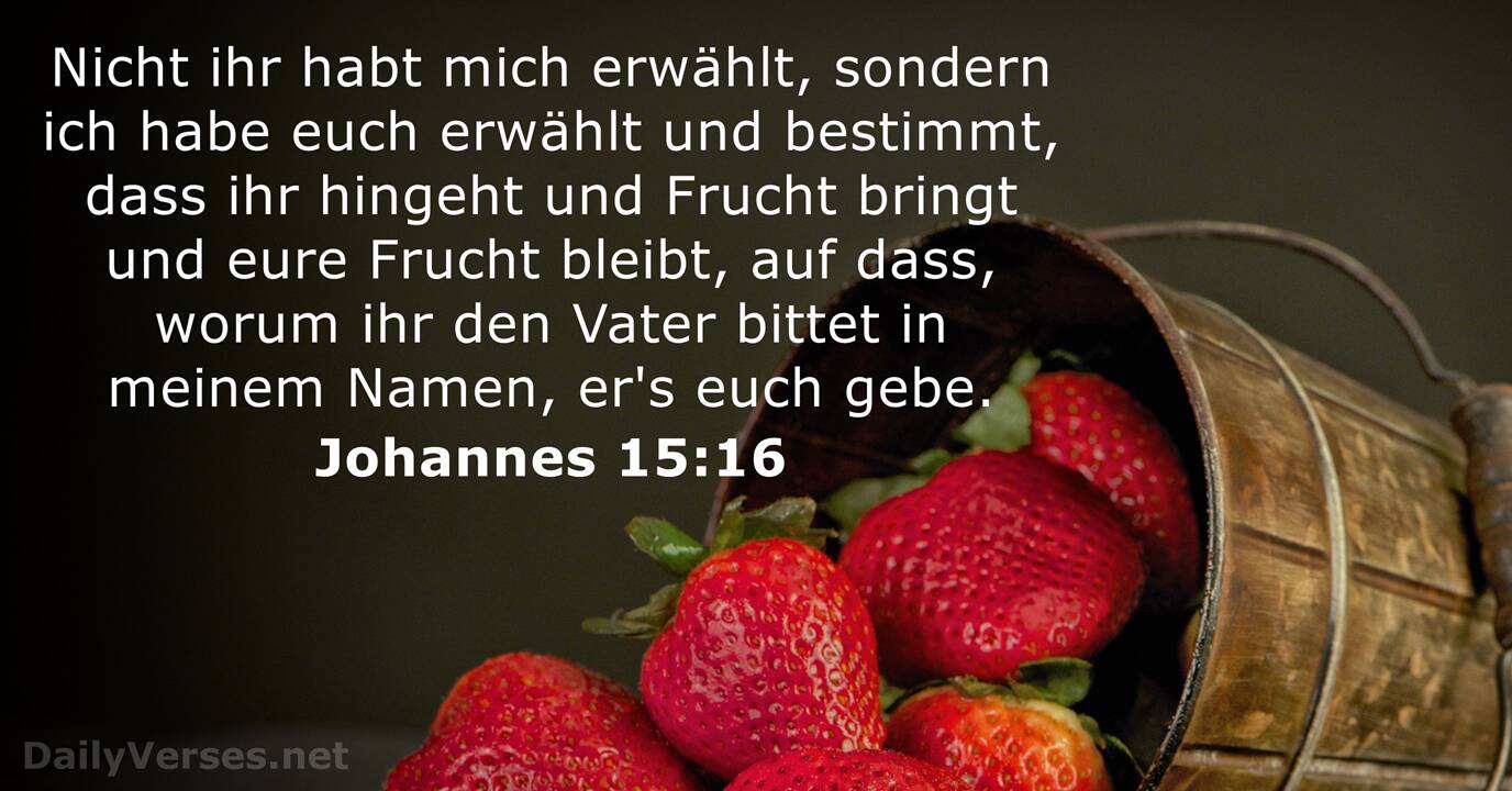 27 Oktober 2018 Neu Bibelvers Des Tages Johannes 15 16 Dailyverses Net