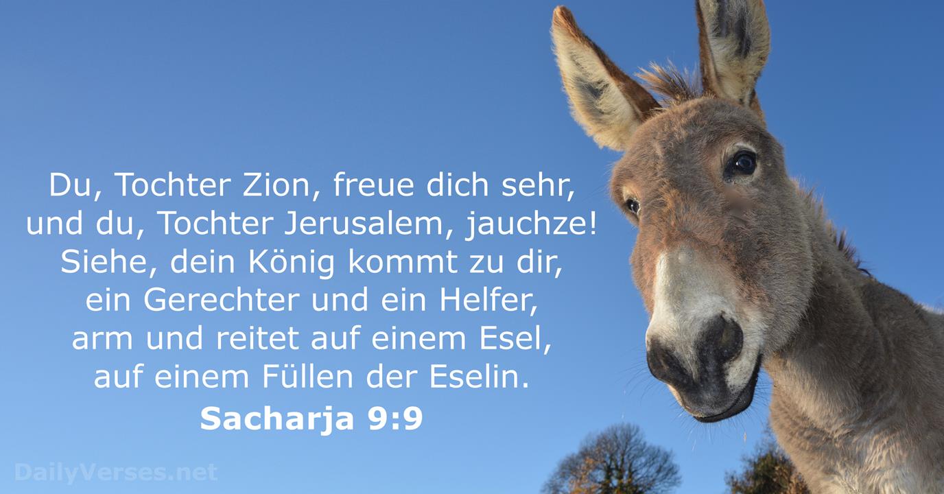 5 April 2020 Elb Bibelvers Des Tages Sacharja 9 9 Dailyverses Net