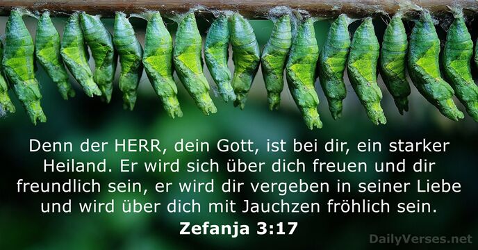 Denn der HERR, dein Gott, ist bei dir, ein starker Heiland. Er… Zefanja 3:17