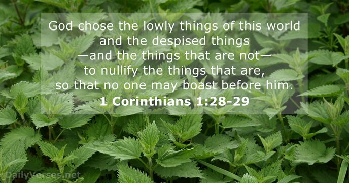 1 Corinthians 1:28-29