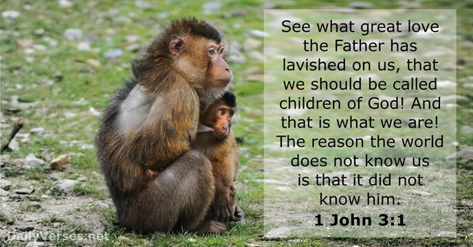 1 John 3:1