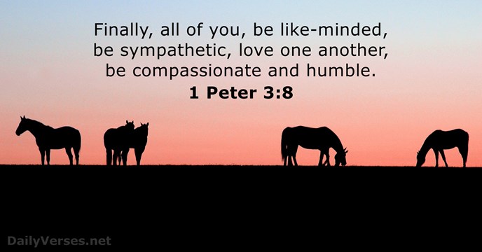 1 Peter 3:8 - Bible verse of the day - DailyVerses.net