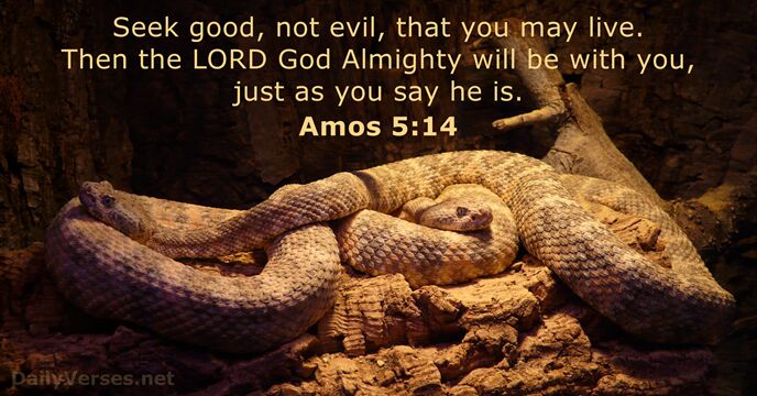 amos 5:14