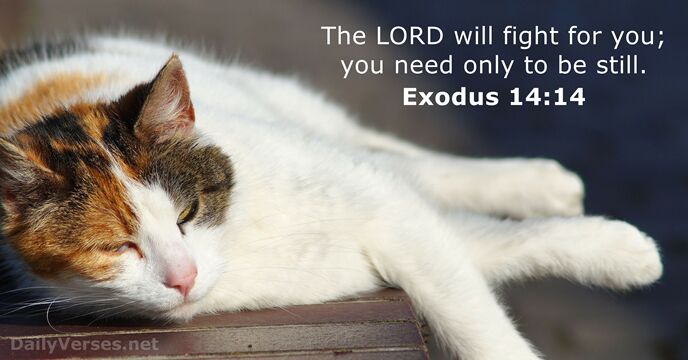 Exodus 14:14