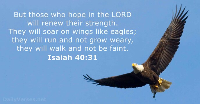 of eagles bible verse strength DailyVerses.net   of  40:31 Bible day the  verse Isaiah