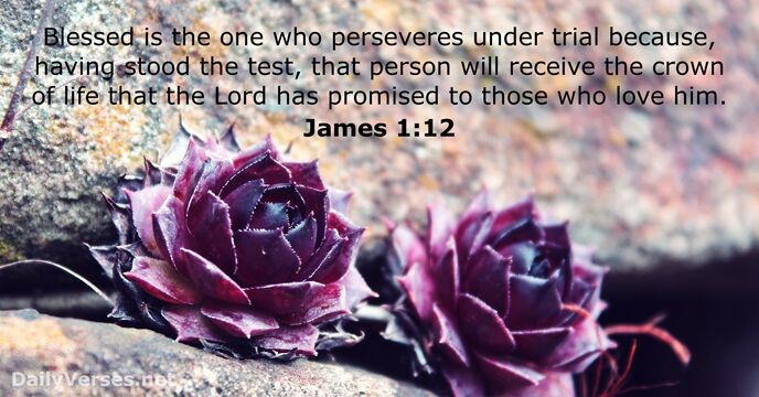 james 1:12