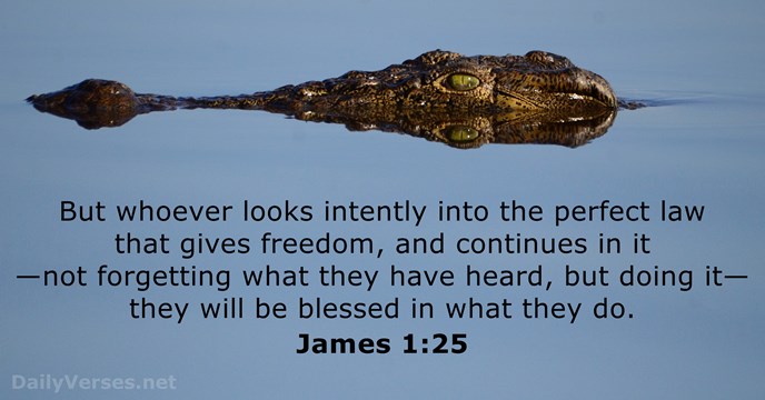 james 1:25