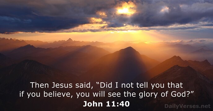 John 11 40 Bible Verse Of The Day Dailyverses Net