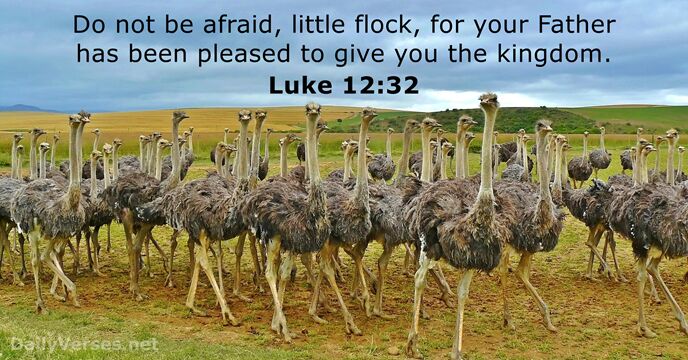 Luke 12:32